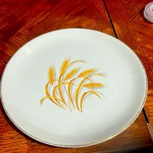 Homer Laughlin Golden Wheat 22k gold oven proof Made in USA 🇺🇸 8 inch plate